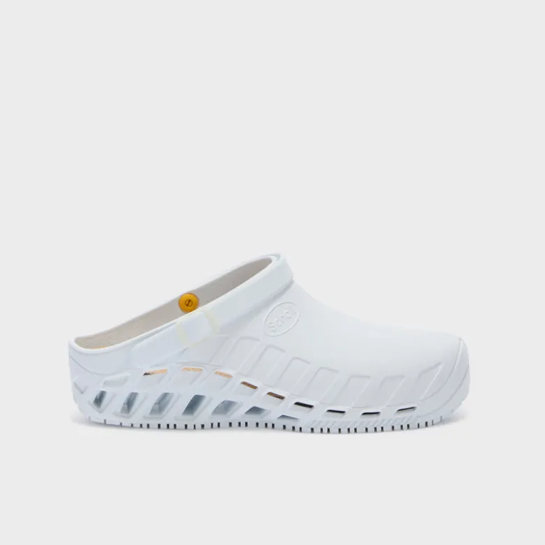 clog evo