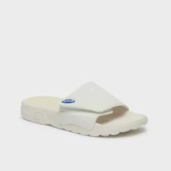 scholl nautilus